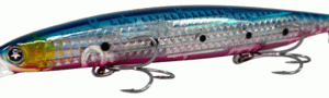 SAKANA KOSEN Classic Sardine 125S