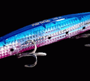SAKANA PATRICIA BLUE SARDINE 140S