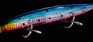 SAKANA PATRICIA CLASSIC SARDINE 140S