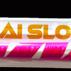 SHISL48913
