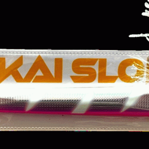 SAKANA SHINKAI SLOW # 004