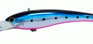 BADFISH -NAKATSU SHINY SARDINE