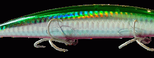 BADFISH HIRAME ASSASSIN