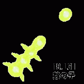 XESTA VINILO- IKURA MUSHI 1.2