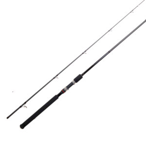 BADFISH caña Shore MASTER 20-80 g